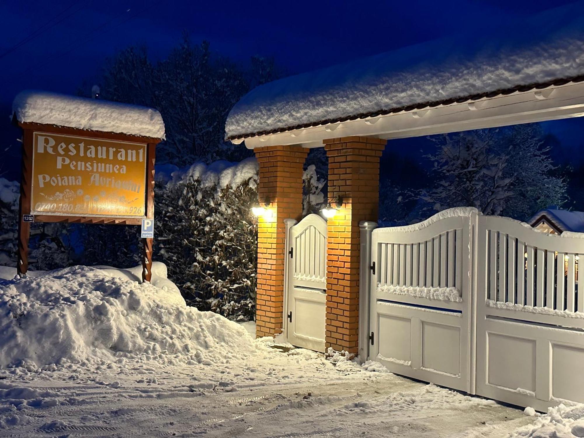 Pensiunea Poiana Avrigului Exterior photo